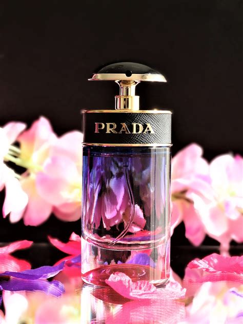 prada night|Prada patchouli perfume.